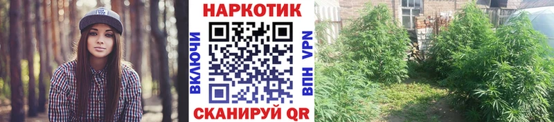 Бутират Алзамай