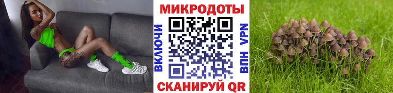 Псилоцибиновые грибы Psilocybe как найти закладки Алзамай