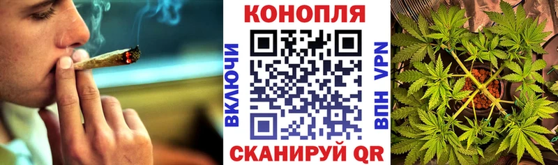 даркнет телеграм  Алзамай  МАРИХУАНА марихуана 